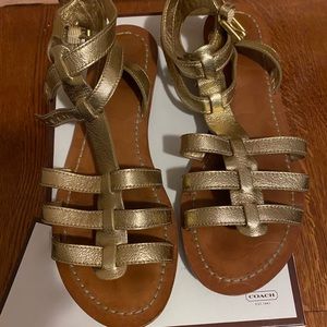 Authentic Coach Sabrina gladiator sandal